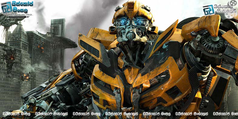 Bumblebee-in-Transformers