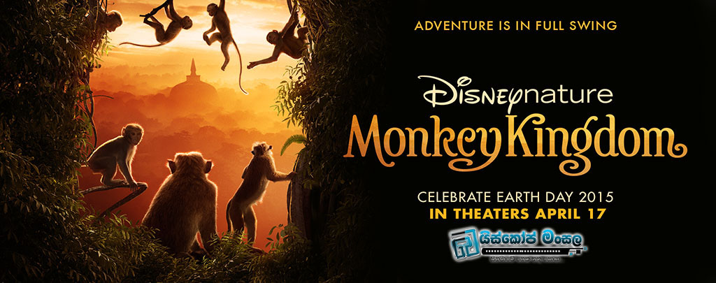monkey-kingdom-poster1