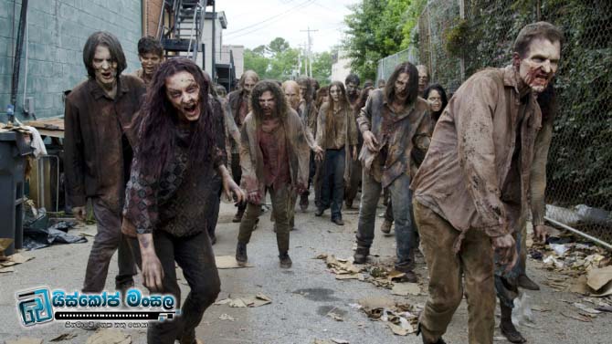 The Walking Dead’ Gets Seventh Season on AMC | ඇවිදින මරණය සත්වන අදියර කරා දිගු කෙරේ