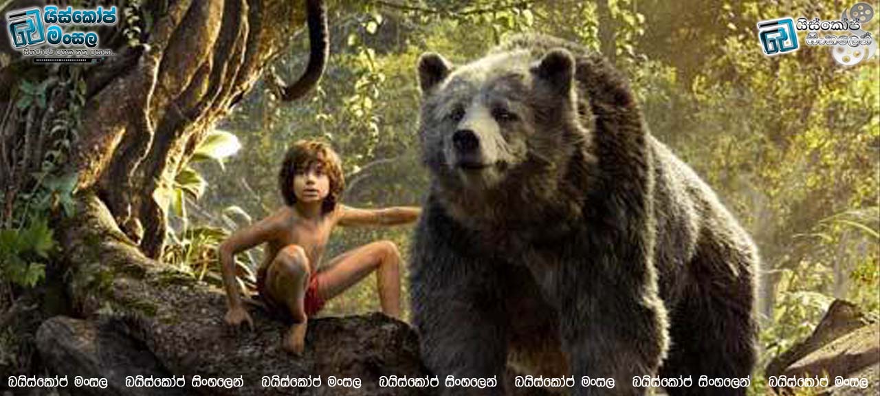 Top 10 Jungle Movies | වනාන්තර පාදක කොටගත් හොඳම සිනමාපට