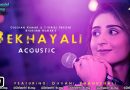 සිනමාවේ ගීත ලොවින් 235 | Bekhayali Acoustic (Kabir Singh) | [සිංහල උපසිරැසි සමඟ]