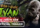 The One and Only Ivan (2020) Official Trailer | පූර්ව ප්‍රචාරක පටය සිංහල උපසිරසි සමඟ