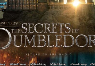 Fantastic Beasts: The Secrets of Dumbledore (2022) Official Trailer 2 | සිංහල උපසිරස සමඟ